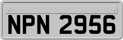 NPN2956