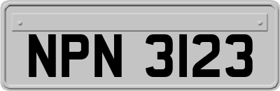 NPN3123
