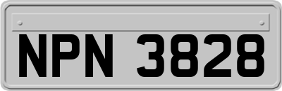 NPN3828