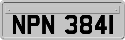NPN3841
