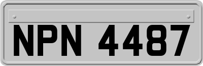 NPN4487