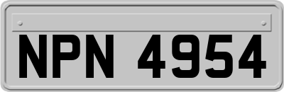 NPN4954