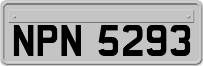 NPN5293