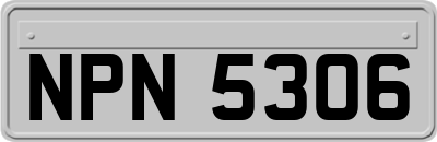 NPN5306
