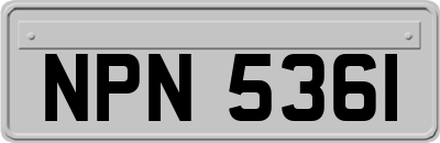 NPN5361