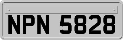 NPN5828