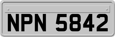 NPN5842