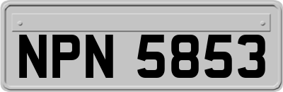 NPN5853