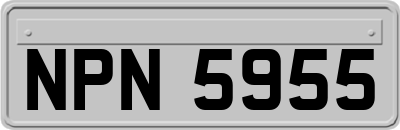 NPN5955