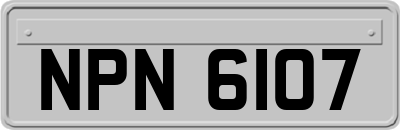 NPN6107