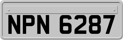 NPN6287