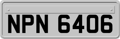 NPN6406