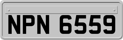 NPN6559