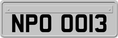 NPO0013