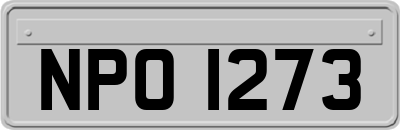 NPO1273