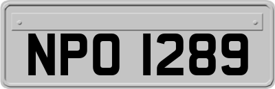 NPO1289