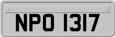 NPO1317