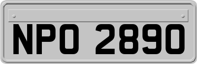NPO2890