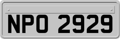 NPO2929