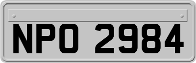 NPO2984