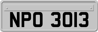 NPO3013