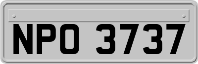 NPO3737
