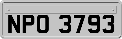 NPO3793