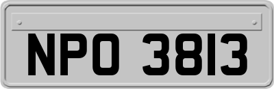 NPO3813