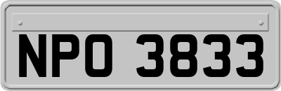 NPO3833