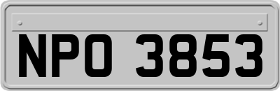 NPO3853