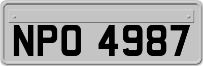 NPO4987