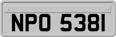 NPO5381
