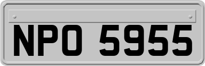 NPO5955