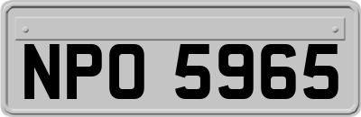 NPO5965