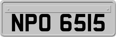 NPO6515