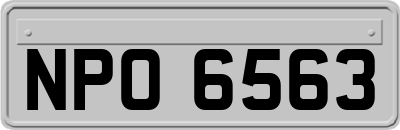 NPO6563