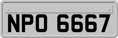 NPO6667