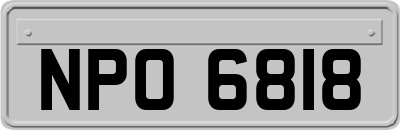 NPO6818