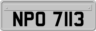 NPO7113