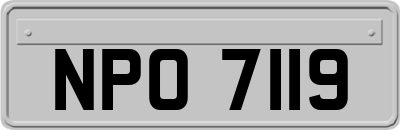 NPO7119