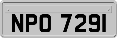 NPO7291