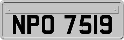 NPO7519
