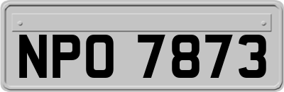 NPO7873