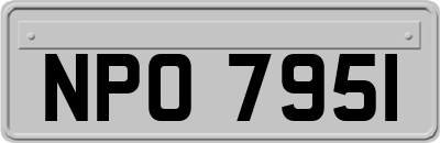 NPO7951