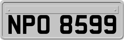 NPO8599