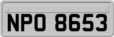 NPO8653
