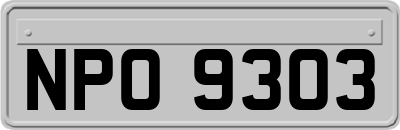 NPO9303