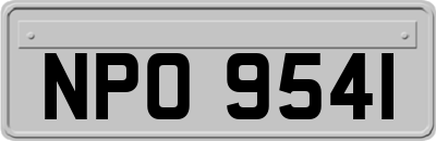 NPO9541