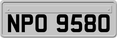 NPO9580