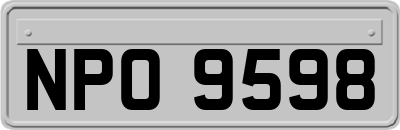 NPO9598